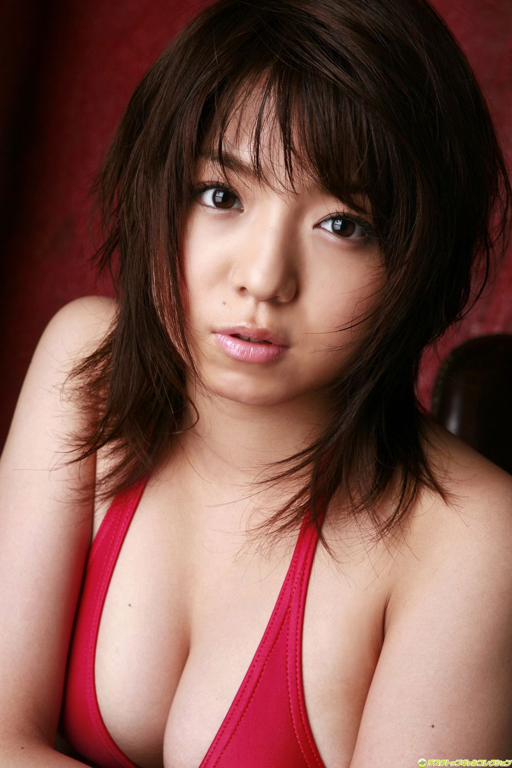 [DGC] NO.529 Shizuka Nakamura 中村静香 Top Idols 写真集