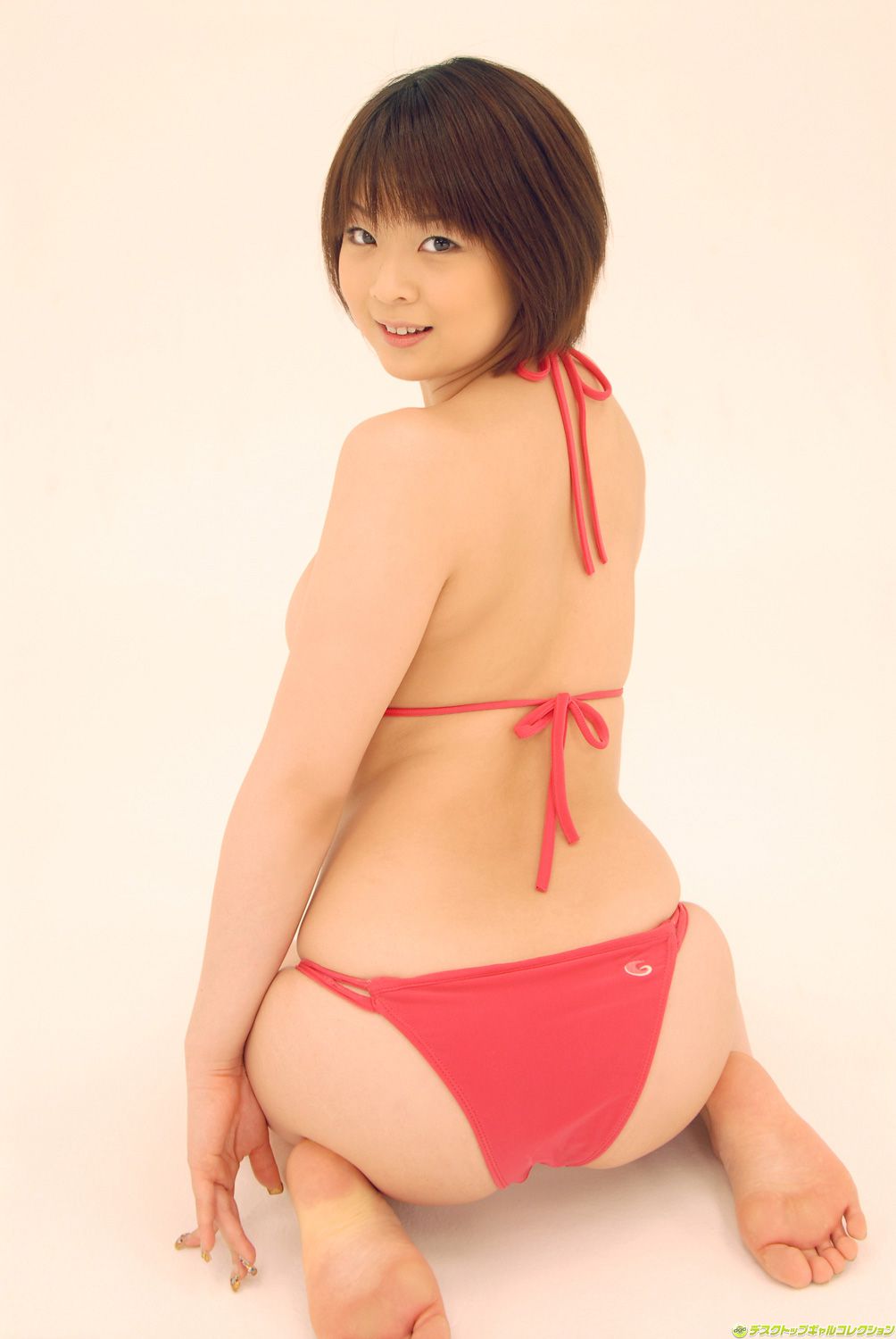 [DGC] NO.530 Sheena Akane シーナ茜 Top Idols 写真集