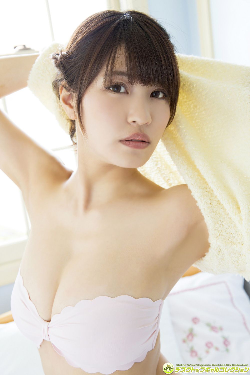 岸明日香《バスト９０★Ｇカップのゴージャスガール！》 写真集 [DGC] NO.1324