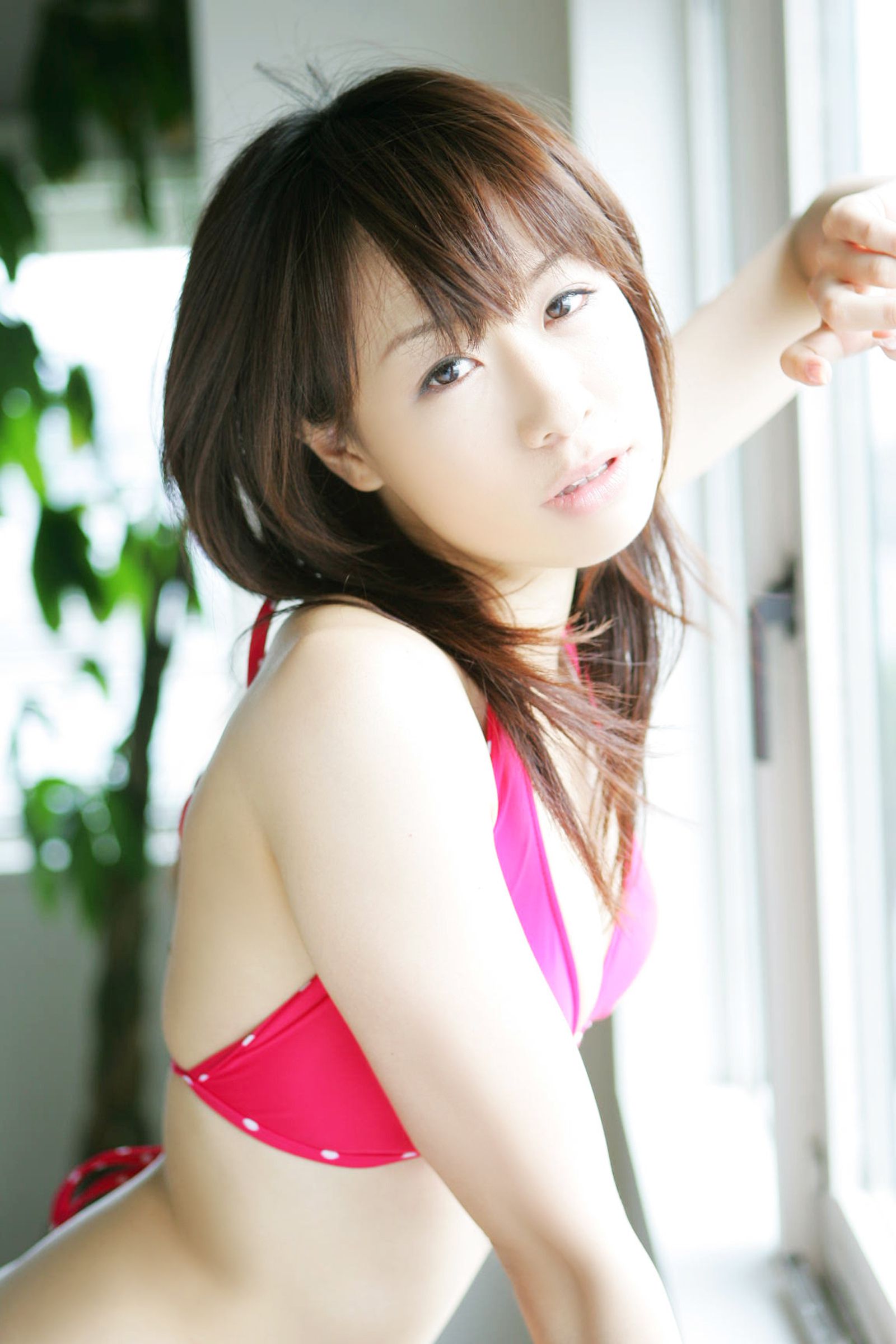 [NS Eyes] SF-No.460 Gravure-Idol SP 合辑 写真集