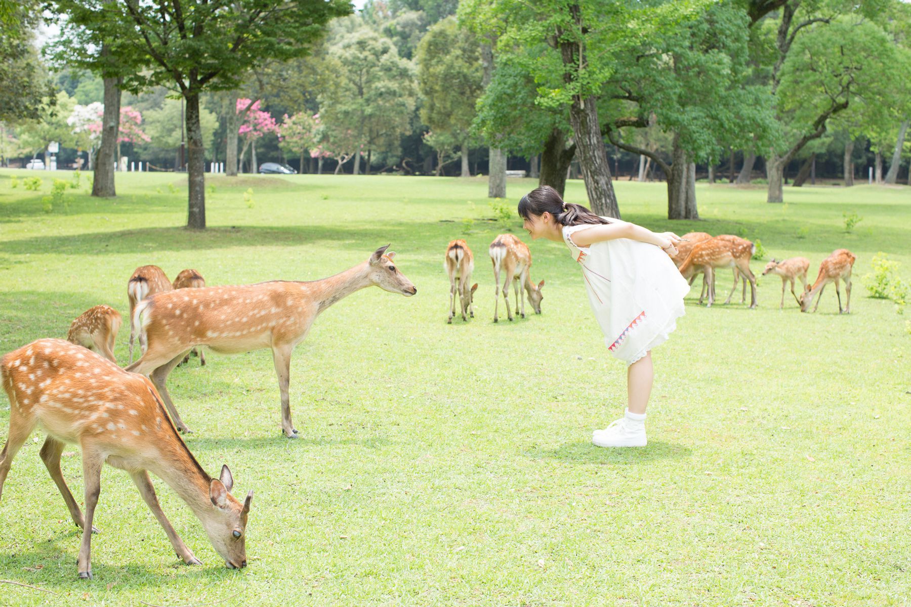 Riho Sayashi 鞘師里保 [Hello! Project Digital Books] Vol.120 写真集29