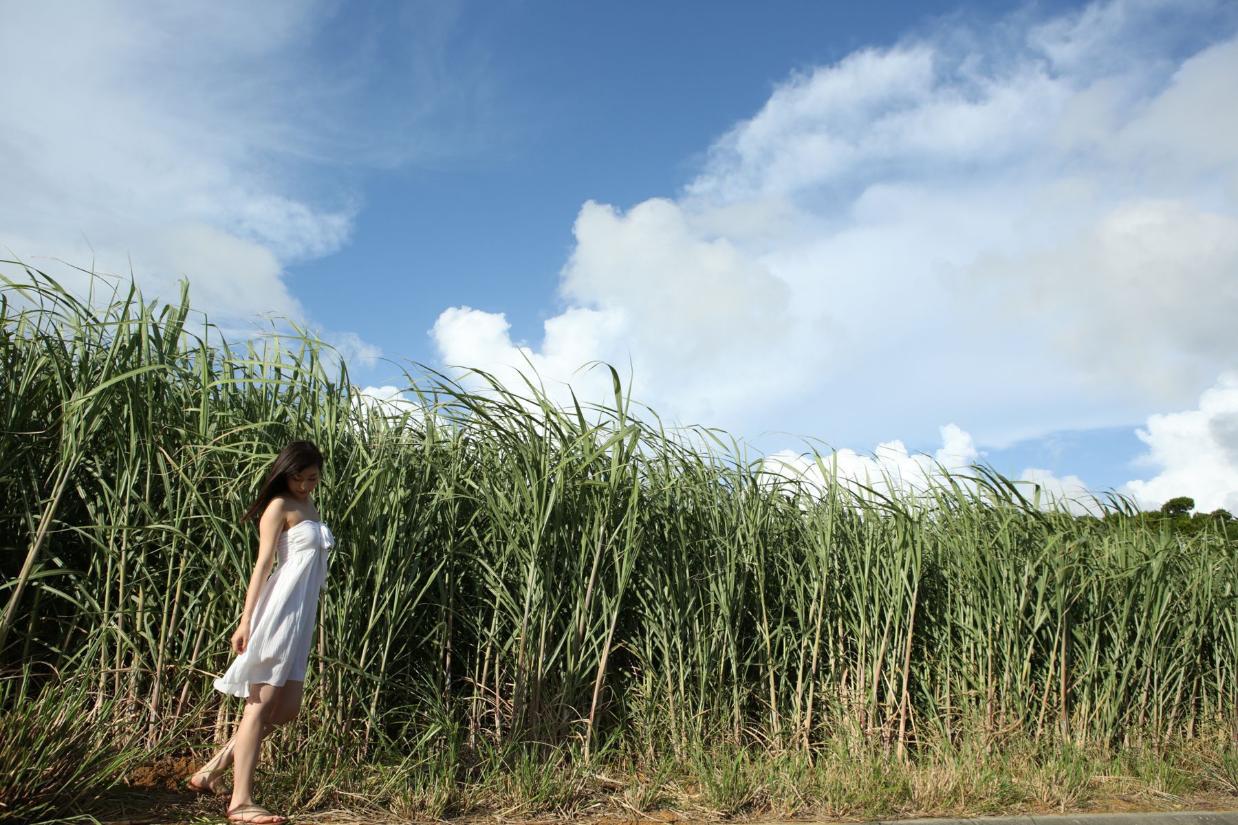 Akari Uemura 植村あかり/植村亚加莉 [Hello! Project Digital Books] Vol.143 写真集22