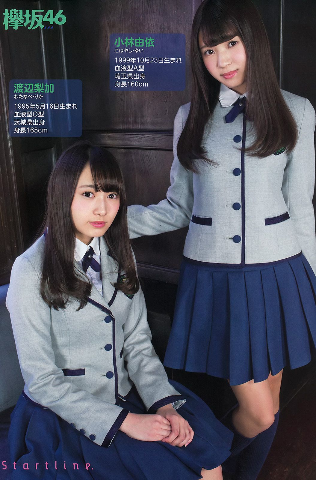 欅坂46 渡辺梨加 平手友梨奈 今泉佑唯 小林由依 [Young Animal] 2016年No.06 写真杂志