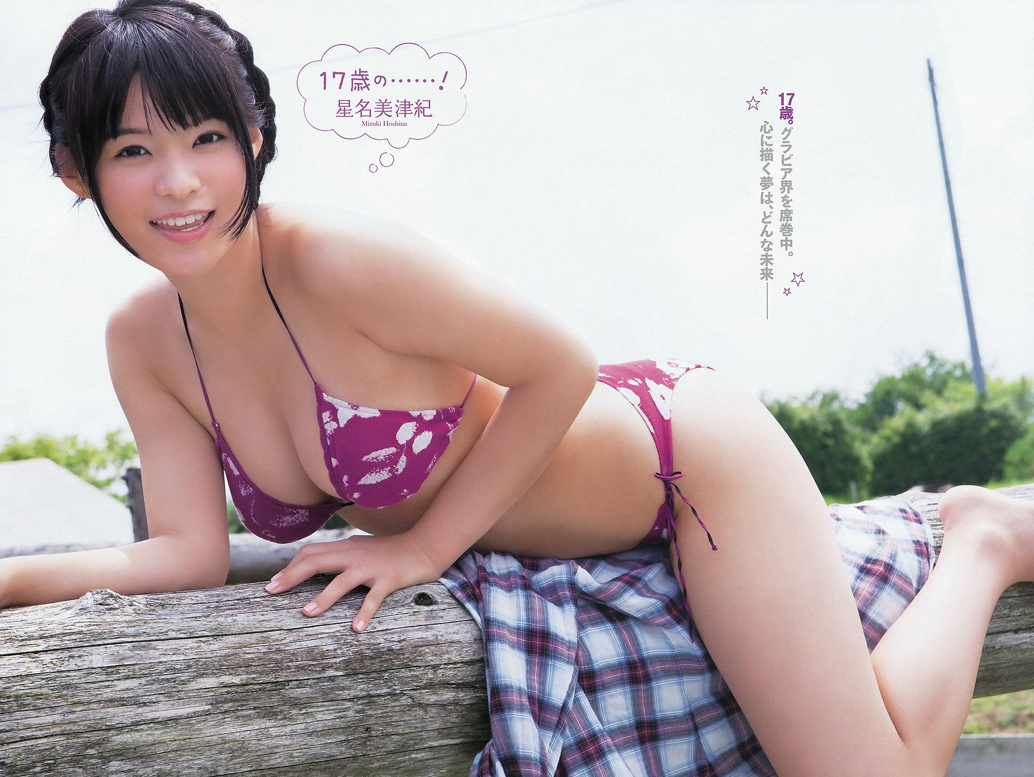 鈴木ふみ奈 星名美津紀 壇蜜 [Young Animal Arashi 岚特刊] No.10 2013年 写真杂志